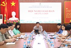 Hội nghị giao ban Cơ quan CĐXDVN tháng 6/2025
